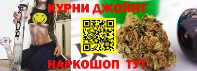 МДПВ Дубна