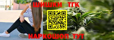 МДПВ Дубна