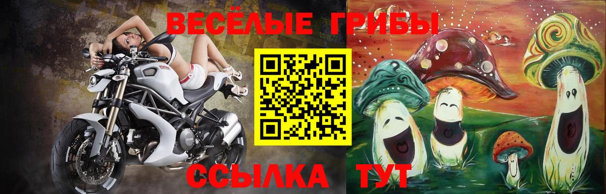 Лыткарино  Псилоцибиновые грибы Psilocybe  Псилоцибиновые грибы Psilocybine cubensis  Вход с VPN 